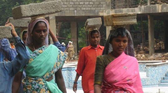 热点剖析（猪狗不如）代表什么动物