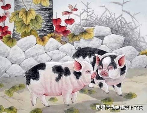 热点剖析:欲钱买四海为家的动物打一最佳生肖