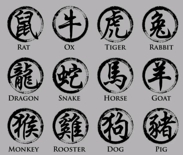 权威解读（一本正经）指代表是什么生肖