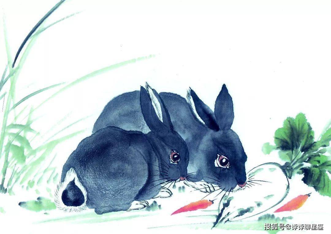 热点剖析:今期虎狗蛇出特，醒心弦里春无极代表什么生肖