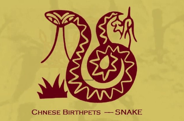 热点剖析:四海为家是什么生肖