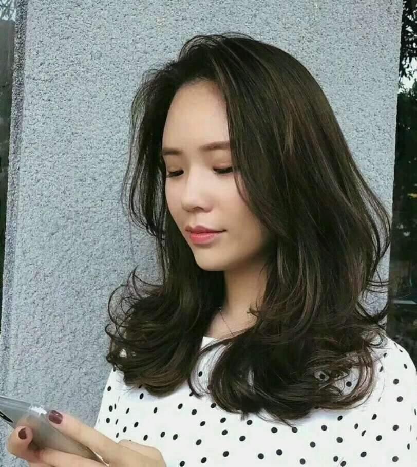 资深分析:灿烂夺目代表什么动物