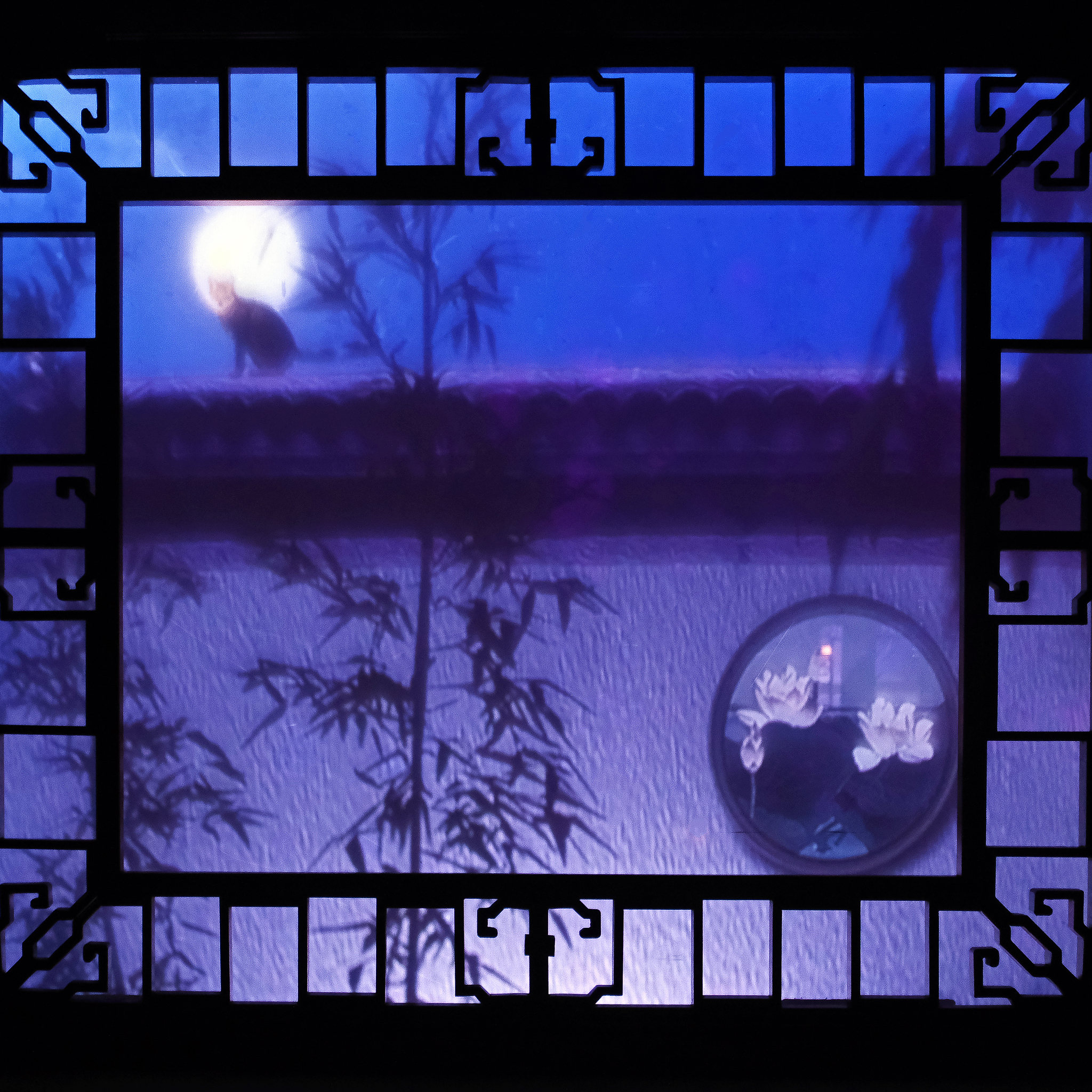 独家视点（残窗夜月人何处）本期生肖