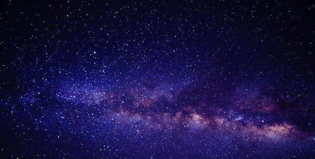 热点剖析:家家户户打一准确生肖动物