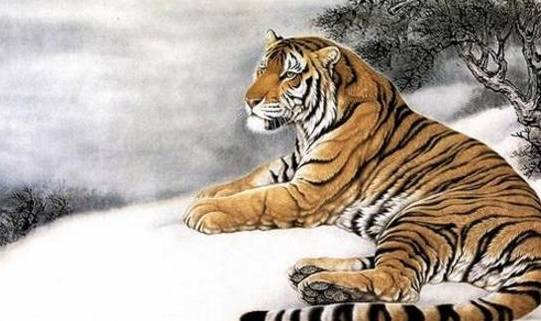 专家解析:五色祥云满乾坤，定特句朝三暮四开过什么生肖