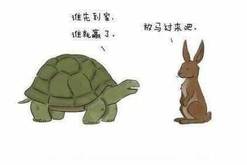 权威解读:顾影自怜猜生肖数字