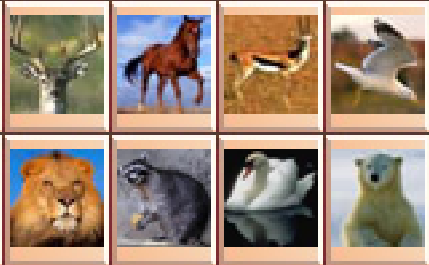 深度剖析:双波行运在其中，来去自如声飞扬。指啥动物