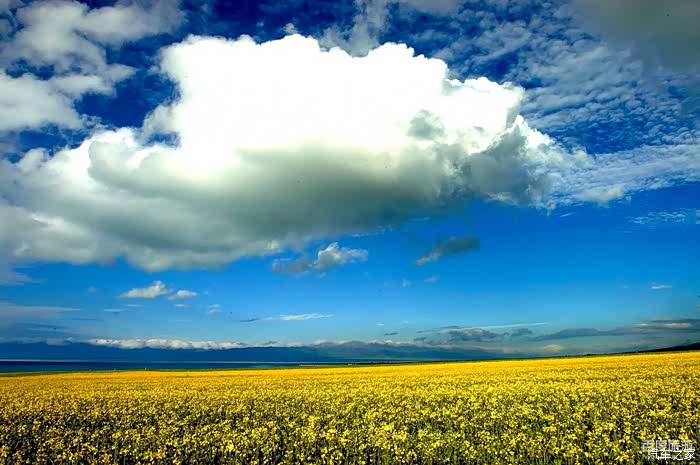 独家调查（龙山虎山两相朝，有情才有好风光。代表什么生肖,打一准确最佳谜底
