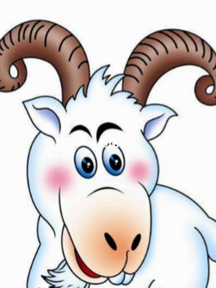 专家解析:洋洋得意猜指打个最佳精准代表哪一个生肖