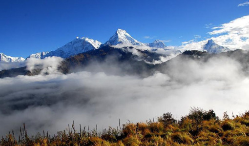 深度剖析（一山也可）打一生肖动物